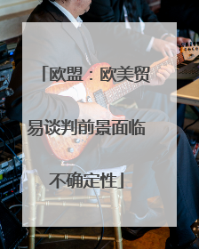 欧盟：欧美贸易谈判前景面临不确定性